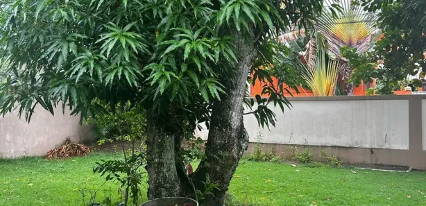 Casa de Condomínio com 4 Quartos para venda ou aluguel, 150m² no Busca Vida (Abrantes), Camaçari