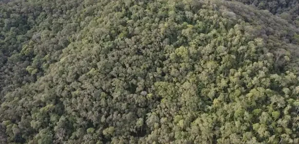 Fazenda / Sítio / Chácara à venda, 290400m² no , Antonina