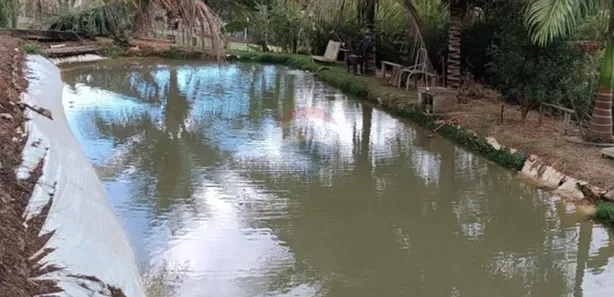Loja / Salão / Ponto Comercial com 2 Quartos à venda, 5000m² no Vila Bretas, Governador Valadares