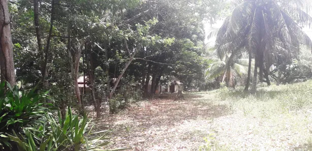Terreno / Lote / Condomínio à venda, 10000m² no Várzea da Meira (Monte Gordo), Camaçari