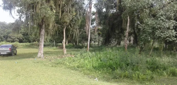 Terreno / Lote / Condomínio à venda, 94095m² no Alexandra, Paranaguá