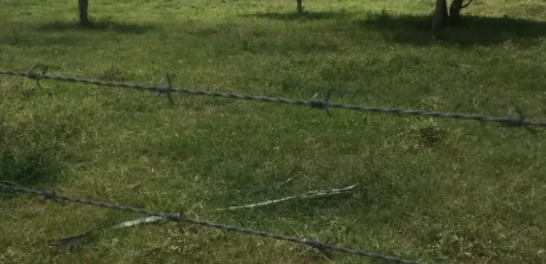 Fazenda / Sítio / Chácara com 4 Quartos à venda, 189m² no , Agrestina