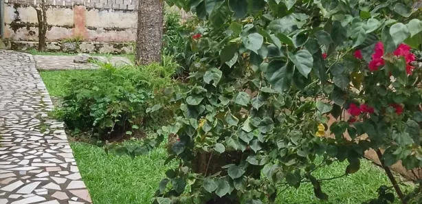 Casa com 3 Quartos à venda, 284m² no , Antonina