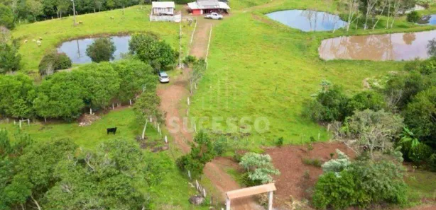 Fazenda / Sítio / Chácara à venda, 48400m² no , Guaraniaçu