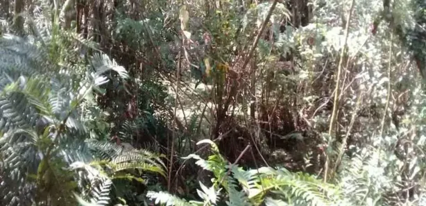 Terreno / Lote / Condomínio à venda, 900m² no Barreiro, Mairiporã