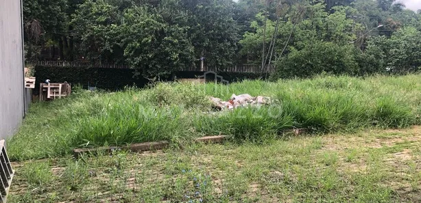 Terreno / Lote / Condomínio para alugar, 380m² no Jardim Mercedes, Limeira