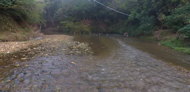 Fazenda / Sítio / Chácara à venda, 50000m² no Área Rural do Gama, Brasília