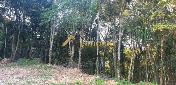 Terreno / Lote / Condomínio à venda, 20000m² no Centro, Campo Largo