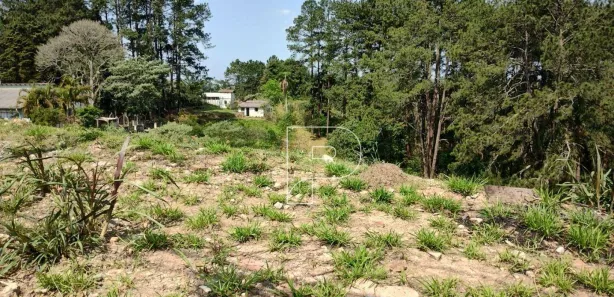 Terreno / Lote / Condomínio à venda, 14853m² no Centro (Caucaia do Alto), Cotia