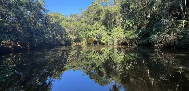 Fazenda / Sítio / Chácara à venda, 124000m² no Parque Nossa Senhora da Ajuda, Guapimirim