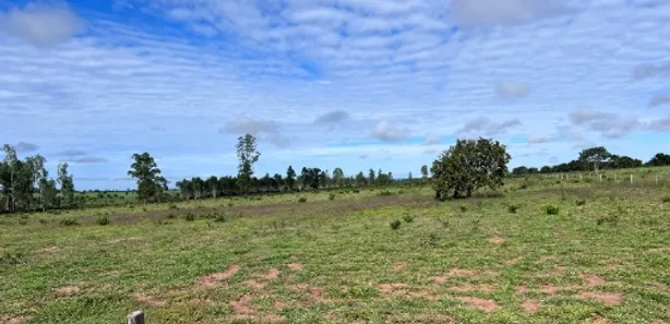 Fazenda / Sítio / Chácara à venda no , Guaraí