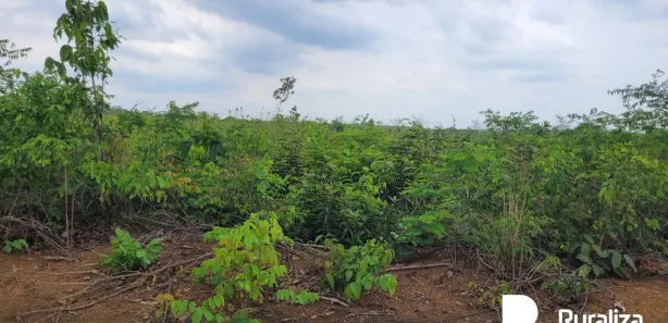 Fazenda / Sítio / Chácara à venda, 1524m² no , Rio Sono