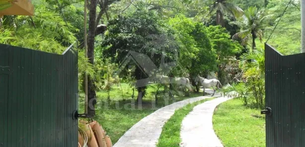 Fazenda / Sítio / Chácara com 3 Quartos à venda, 13100m² no Serra de Mato Grosso (Sampaio Correia), Saquarema