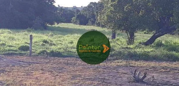 Fazenda / Sítio / Chácara à venda, 12387375m² no Área Rural de Gurupi, Gurupi
