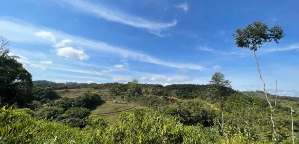 Fazenda / Sítio / Chácara à venda, 11000m² no Massaranduba, Massaranduba