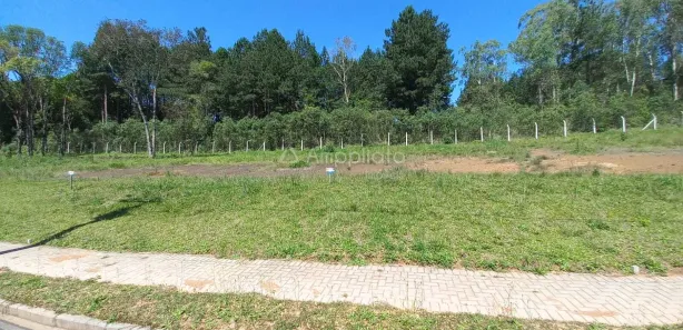 Terreno / Lote / Condomínio à venda, 384m² no Araçatuba, Campina Grande do Sul