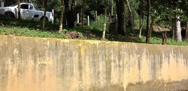 Fazenda / Sítio / Chácara com 3 Quartos à venda, 5000m² no Centro, São Lourenço da Serra