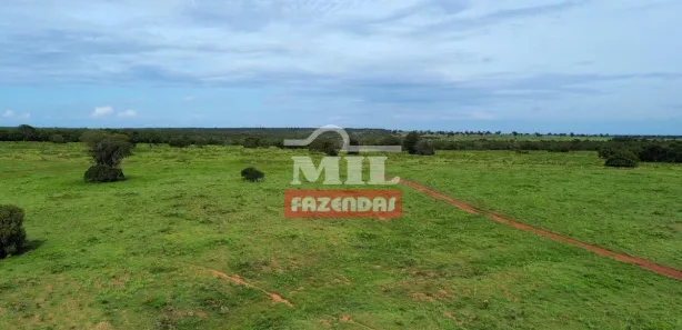 Fazenda / Sítio / Chácara à venda, 500m² no , Formoso do Araguaia