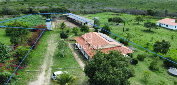 Fazenda / Sítio / Chácara com 3 Quartos à venda, 250m² no Cruzeiro, Gravatá