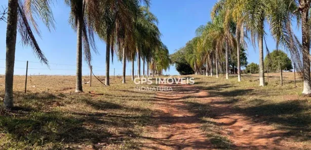 Fazenda / Sítio / Chácara com 3 Quartos à venda, 211m² no Fazenda Floresta, Alambari