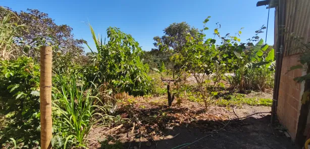 Fazenda / Sítio / Chácara com 2 Quartos à venda, 20000m² no , Brasília