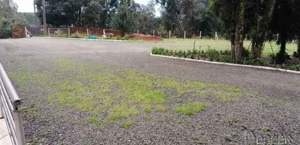 Galpão / Depósito / Armazém à venda, 1336m² no Bairro Padre Eterno Ilges, Santa Maria do Herval