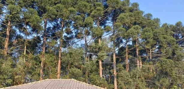 Fazenda / Sítio / Chácara com 3 Quartos à venda, 14984m² no , Fazenda Rio Grande