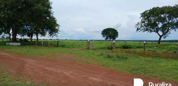 Fazenda / Sítio / Chácara à venda, 1950m² no , Paraíso do Tocantins