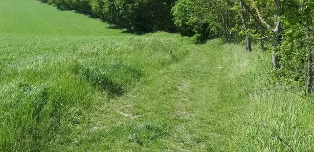 Terreno / Lote / Condomínio à venda, 1000m² no , Alumínio