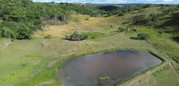 Fazenda / Sítio / Chácara com 2 Quartos à venda, 125000m² no , Sairé
