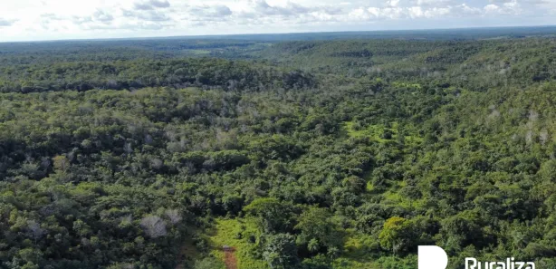 Fazenda / Sítio / Chácara à venda, 653m² no , Rio Sono