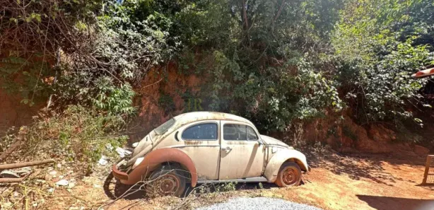 Fazenda / Sítio / Chácara com 4 Quartos à venda, 120m² no Jardim de Alá (Justinópolis), Ribeirão das Neves