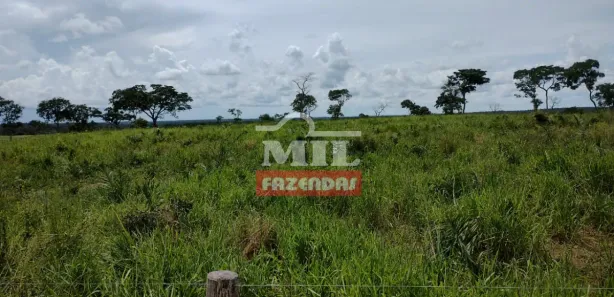Fazenda / Sítio / Chácara à venda, 500m² no , Paranã