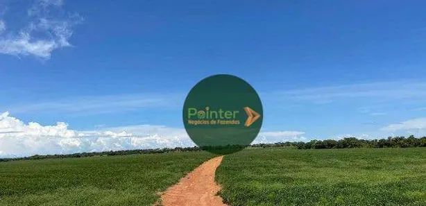 Fazenda / Sítio / Chácara à venda, 2740000m² no Área Rural de Gurupi, Gurupi