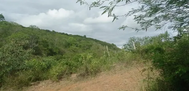 Fazenda / Sítio / Chácara com 4 Quartos à venda, 140000m² no , Pombos