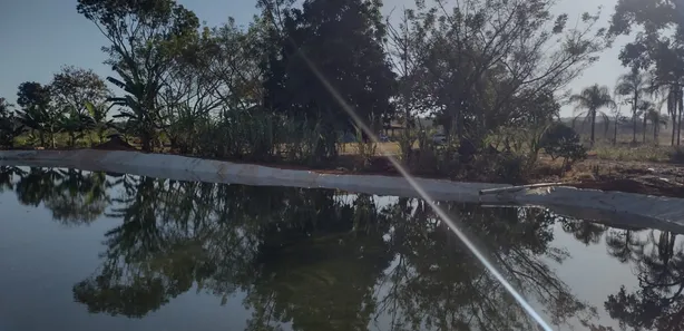 Fazenda / Sítio / Chácara com 3 Quartos à venda, 30000m² no , Brasília
