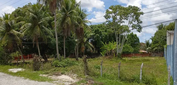 Terreno / Lote / Condomínio para venda ou aluguel, 2000m² no Cristo Rei, Dias d'Ávila