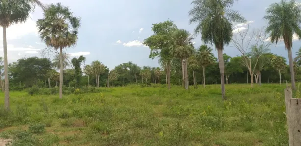 Fazenda / Sítio / Chácara à venda, 1000000m² no , Porto Murtinho