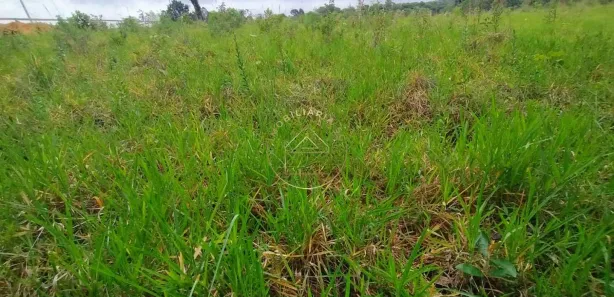 Terreno / Lote / Condomínio à venda, 1000m² no Dona Catarina, Mairinque