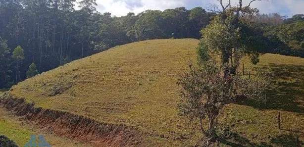 Terreno / Lote / Condomínio à venda, 20004m² no Centro, São Pedro de Alcântara