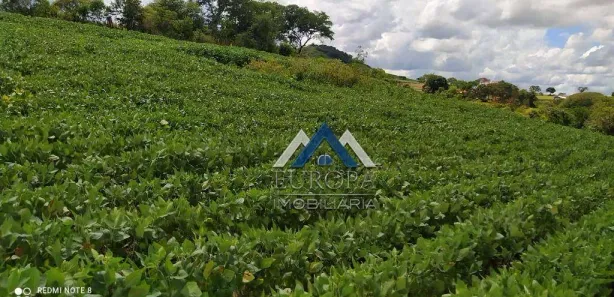 Fazenda / Sítio / Chácara à venda, 798600m² no Macuco, Cornélio Procópio