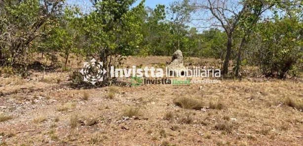 Fazenda / Sítio / Chácara à venda, 242m² no Centro, Pium