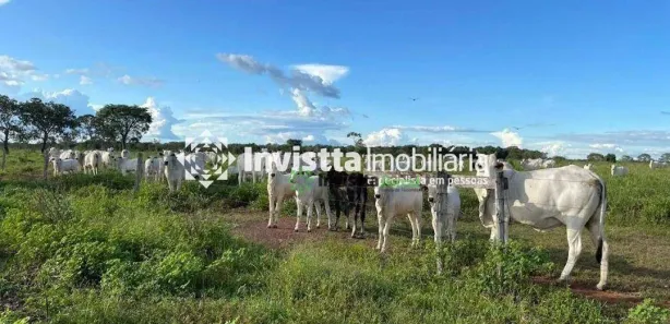 Fazenda / Sítio / Chácara à venda, 1283m² no Centro, Pium