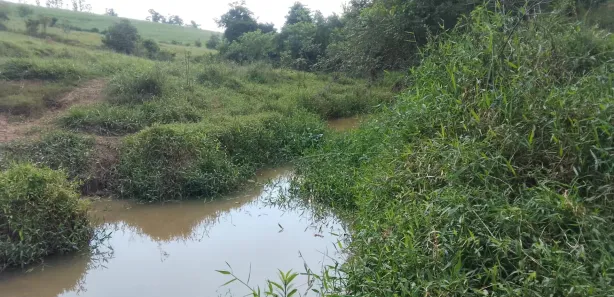 Fazenda / Sítio / Chácara à venda, 10m² no Centro, Águas de São Pedro