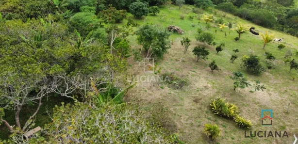 Fazenda / Sítio / Chácara com 4 Quartos à venda, 25000m² no Zona Rural, Sairé