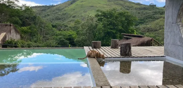Fazenda / Sítio / Chácara com 5 Quartos à venda, 256000m² no Papucaia, Cachoeiras de Macacu