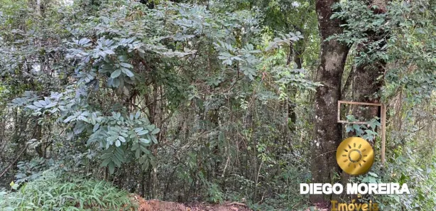 Terreno / Lote / Condomínio à venda, 1025m² no Mato Dentro, Mairiporã