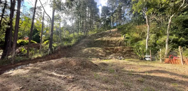 Terreno / Lote / Condomínio à venda, 1650m² no Barão de Javary, Miguel Pereira