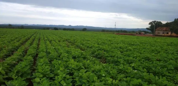 Fazenda / Sítio / Chácara à venda, 7986000m² no , Silvanópolis