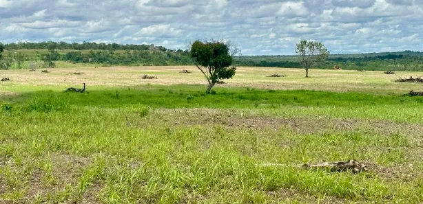 Fazenda / Sítio / Chácara à venda, 1m² no , Rio Sono